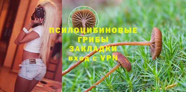 дживик Абинск