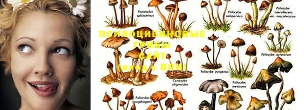 дживик Абинск