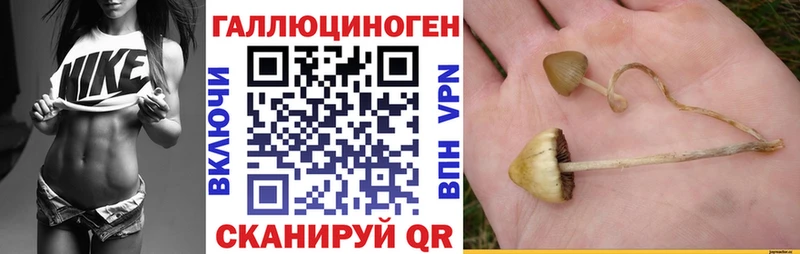 Псилоцибиновые грибы ЛСД Нижневартовск